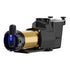 Pump - Hayward Super Pump® XE VS OmniX™ 1.65 HP - VSP26615